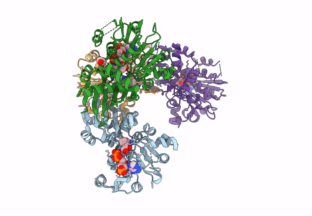 8J1C image