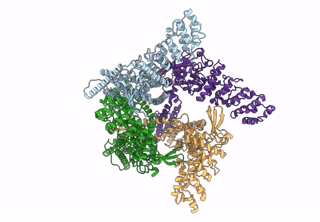 8J1D image