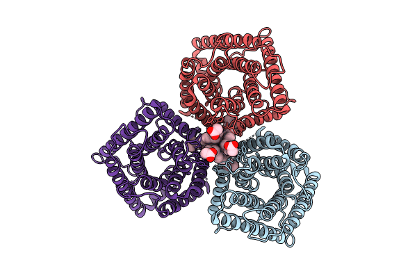 8J1E image