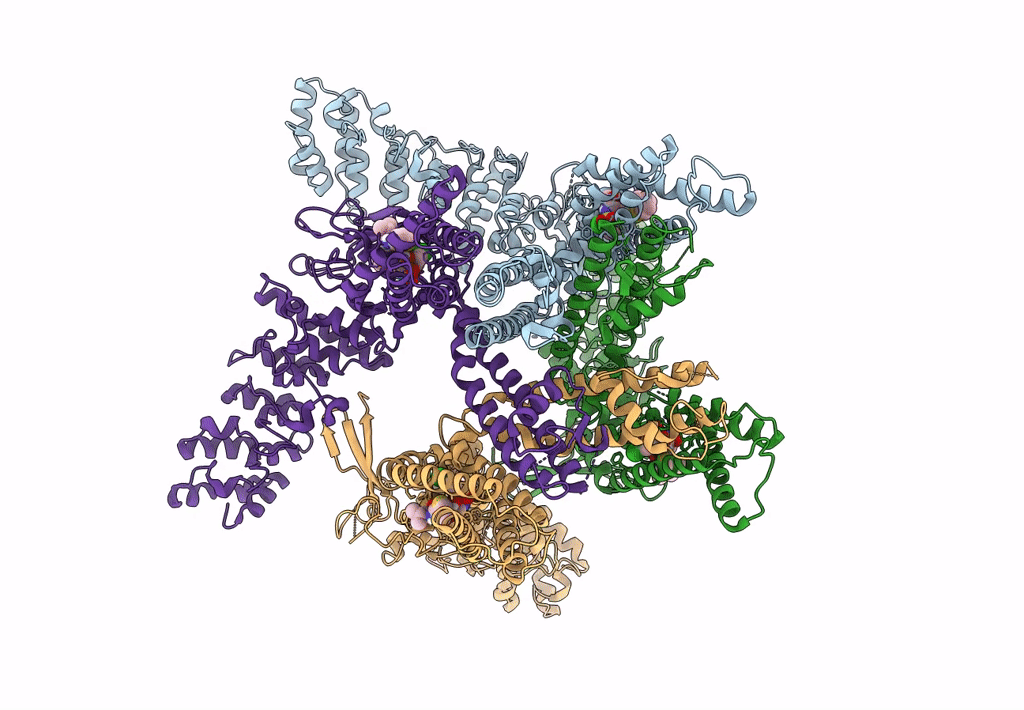 8J1F image