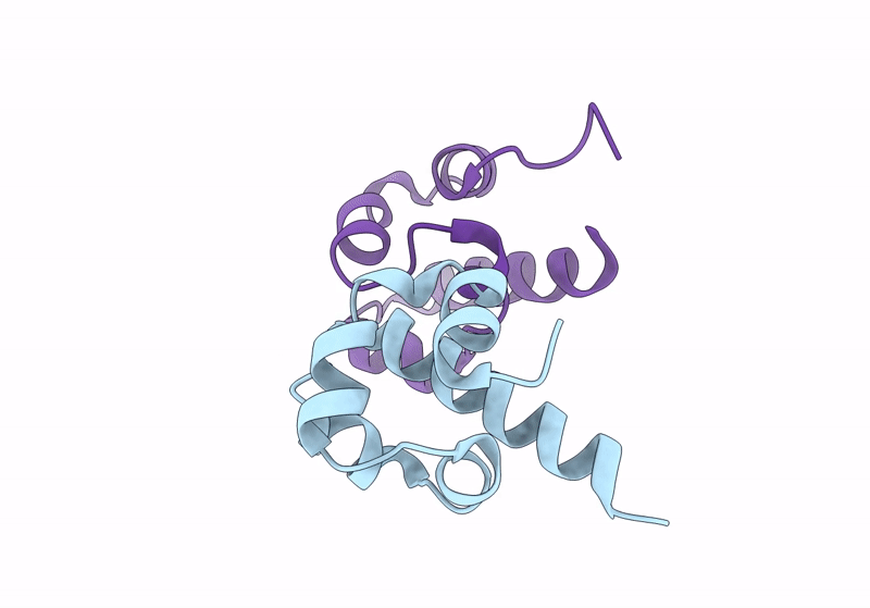 8J1I image