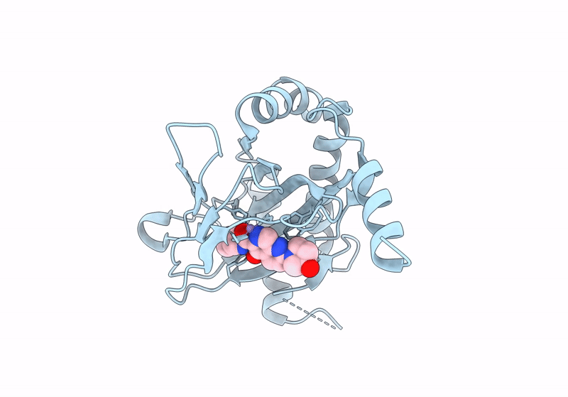 8J1K image
