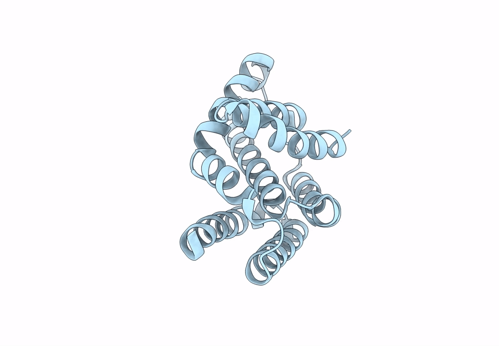 8J1X image