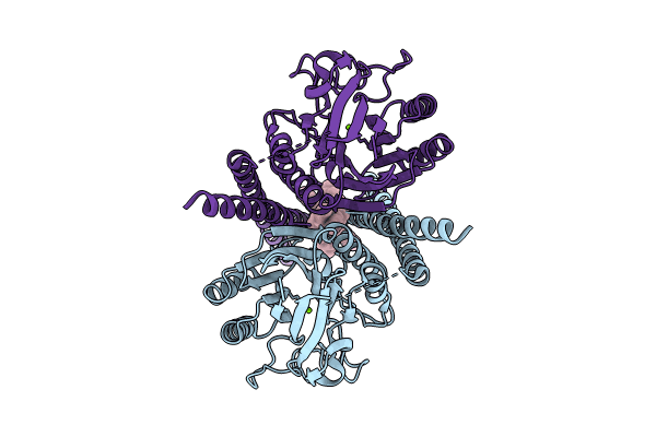 8J2F image