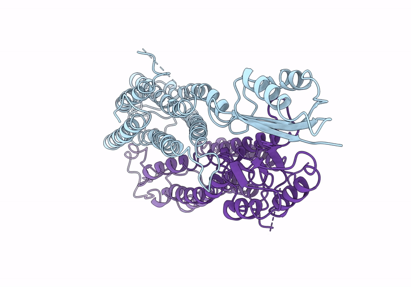 8J2G image