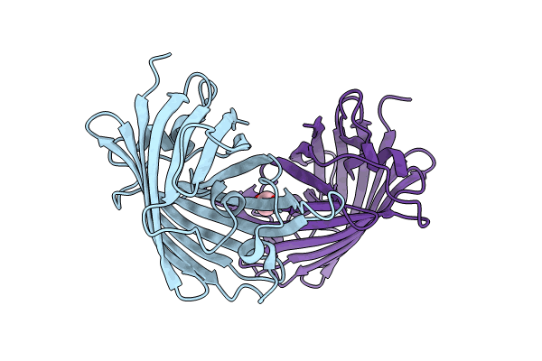8J2I image