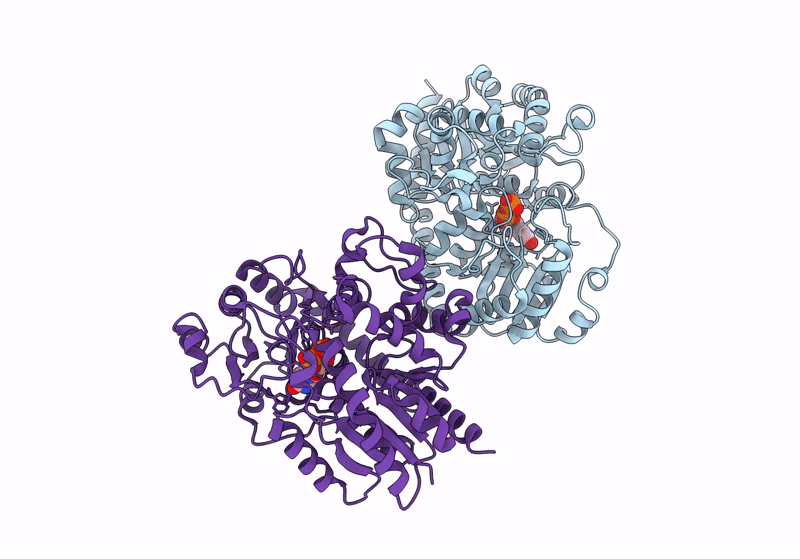 8J2U image