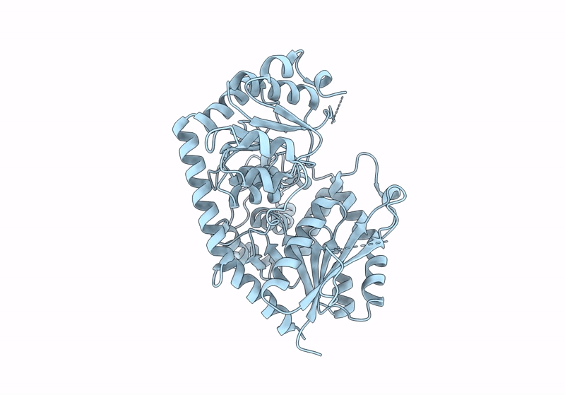 8J2Z image