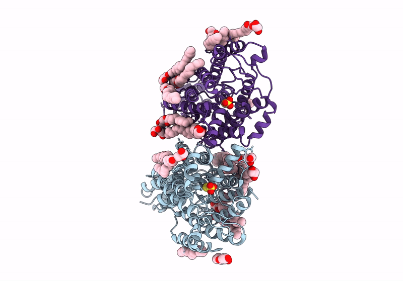 8J4C image