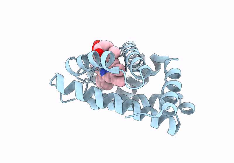 8J4K image
