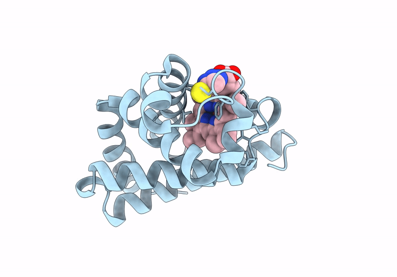8J4L image