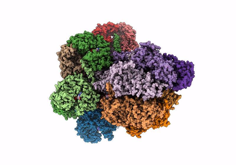 8J4U image