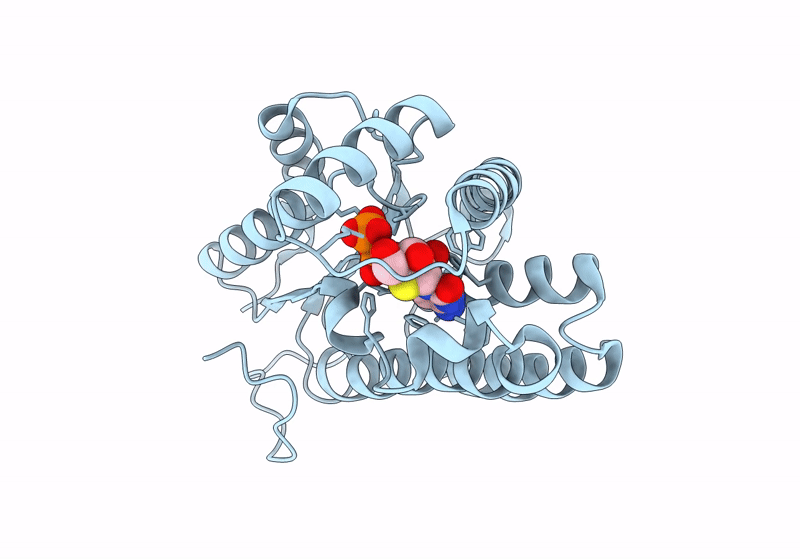 8J5G image