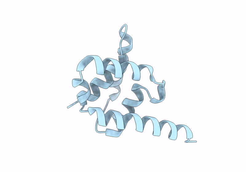 8J5I image