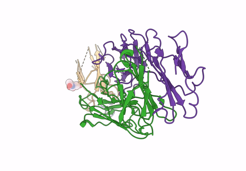 8J6F image
