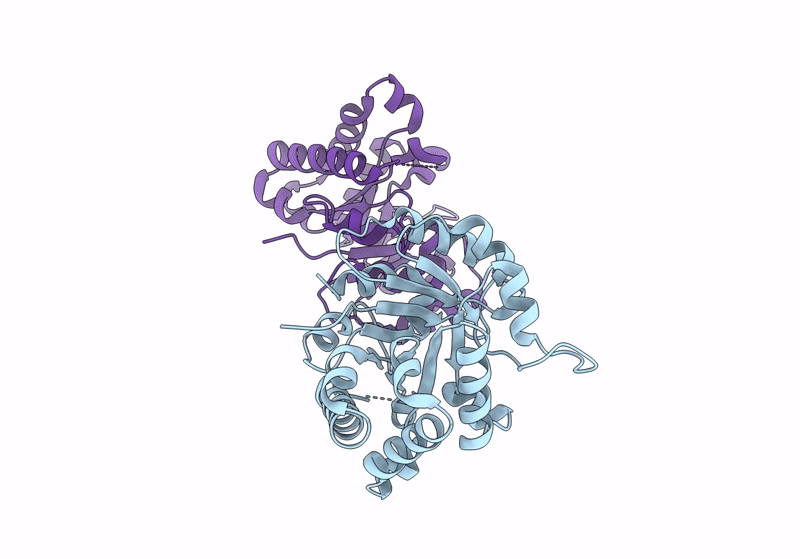 8J7C image