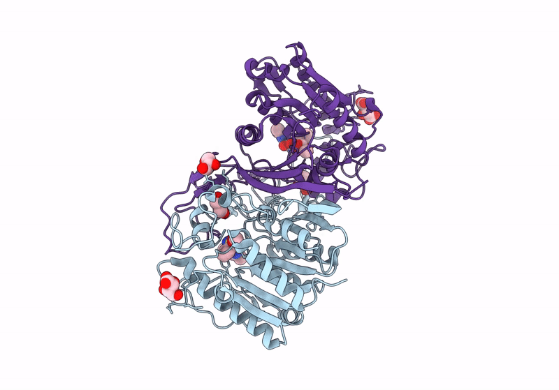 8J7I image
