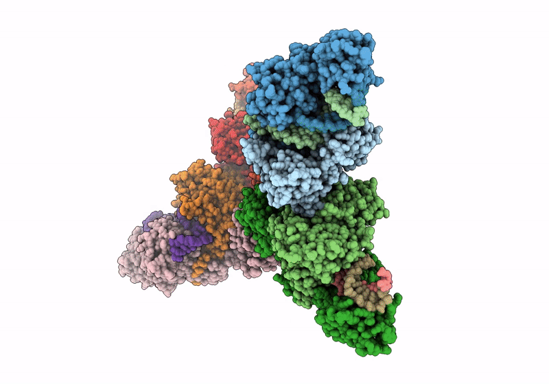 8J7S image