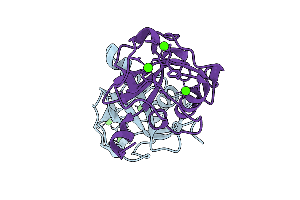 8J8T image