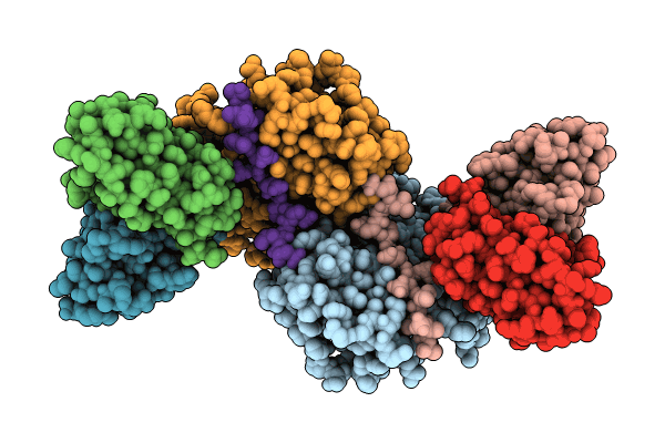 8J8V image