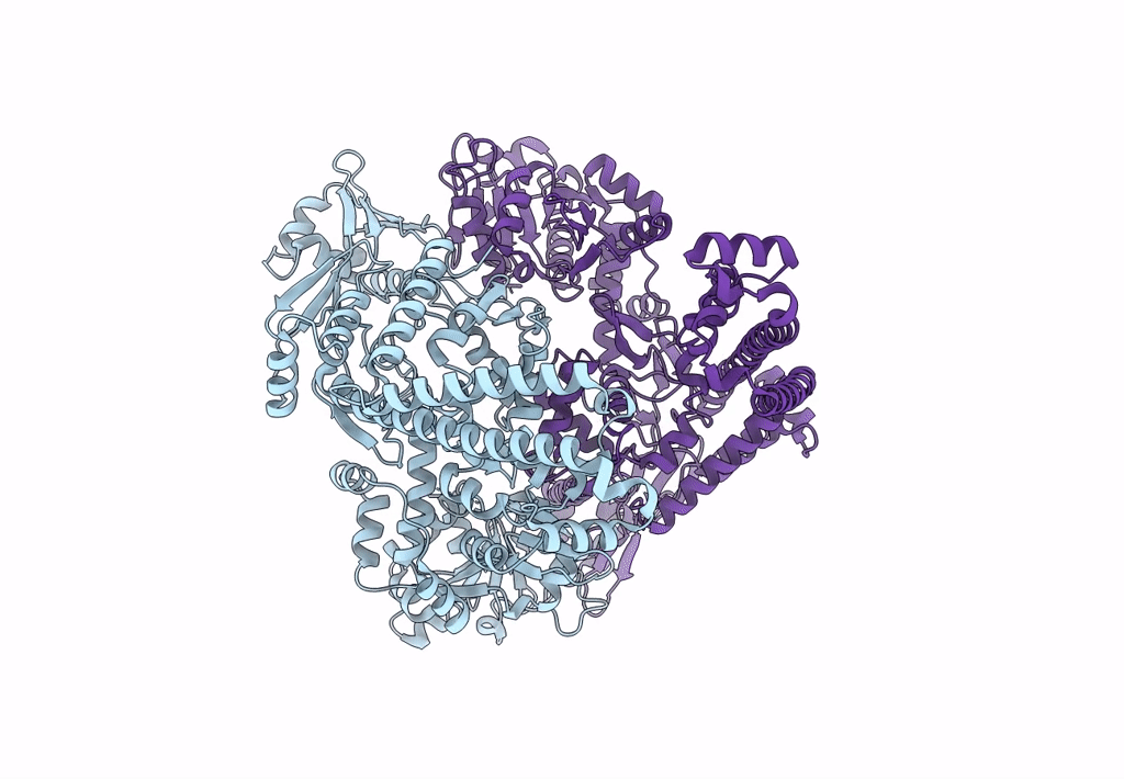 8J9Z image