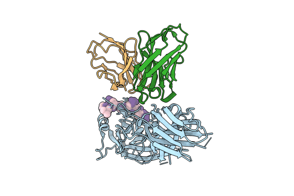 8JAF image