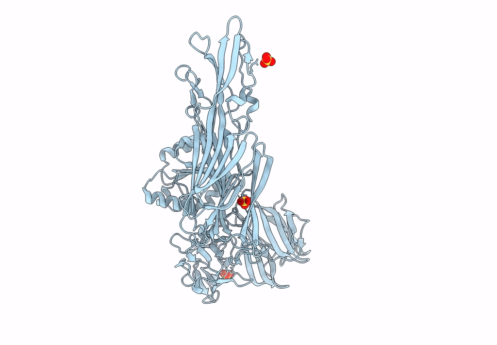 8JBQ image