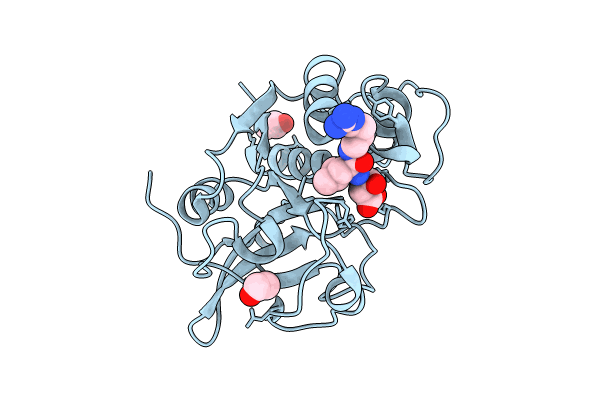 8JCR image