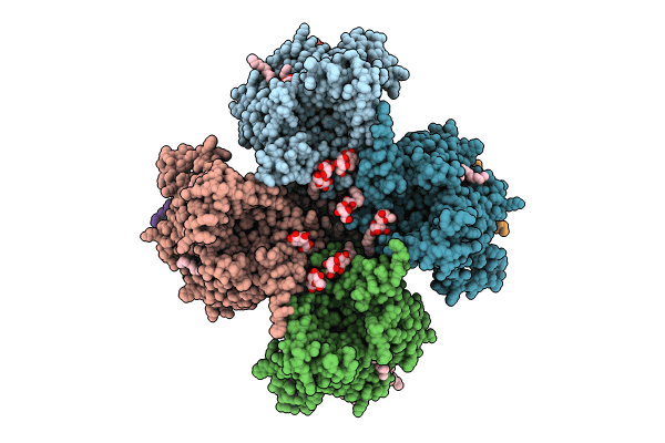 8JF2 image