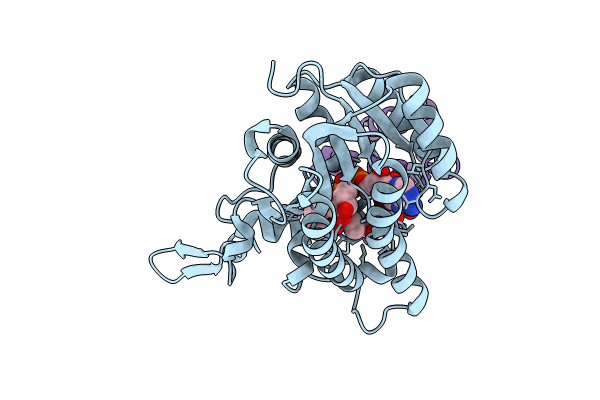 8JFN image