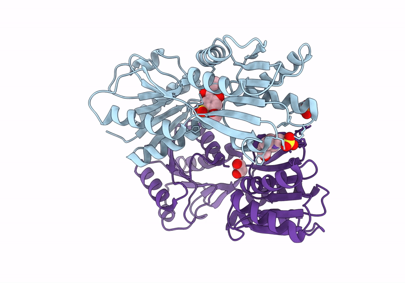 8JFV image