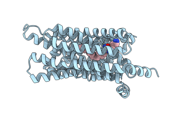 8JHR image
