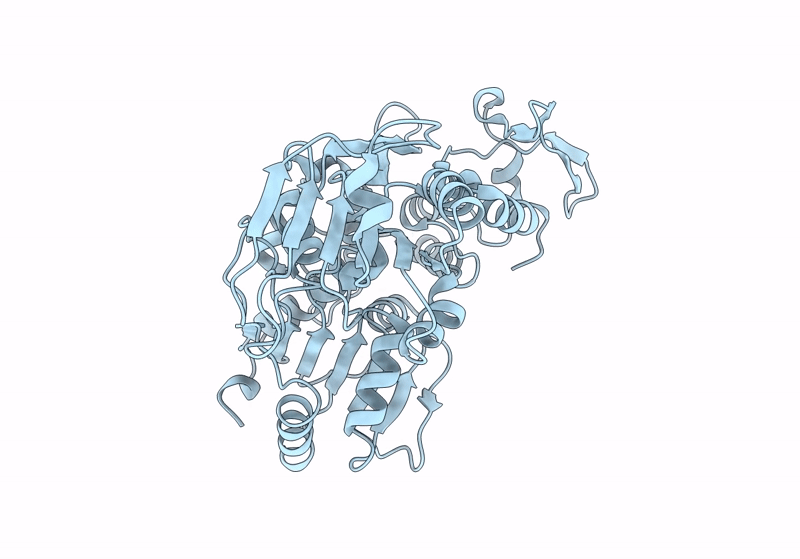 8JIX image
