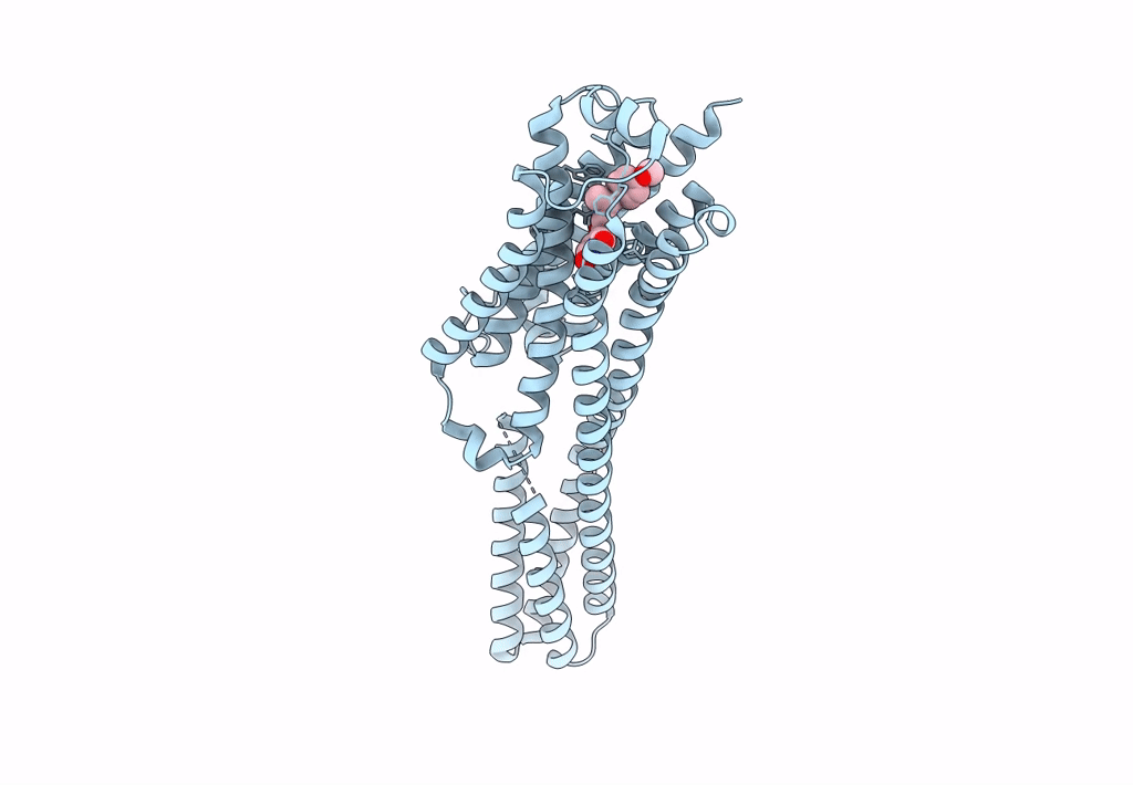 8JJ8 image