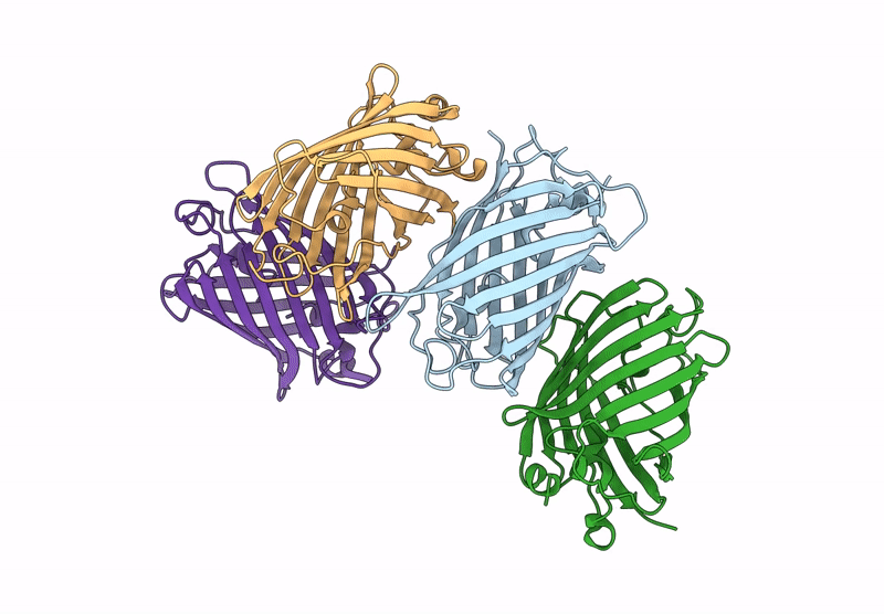 8JKC image