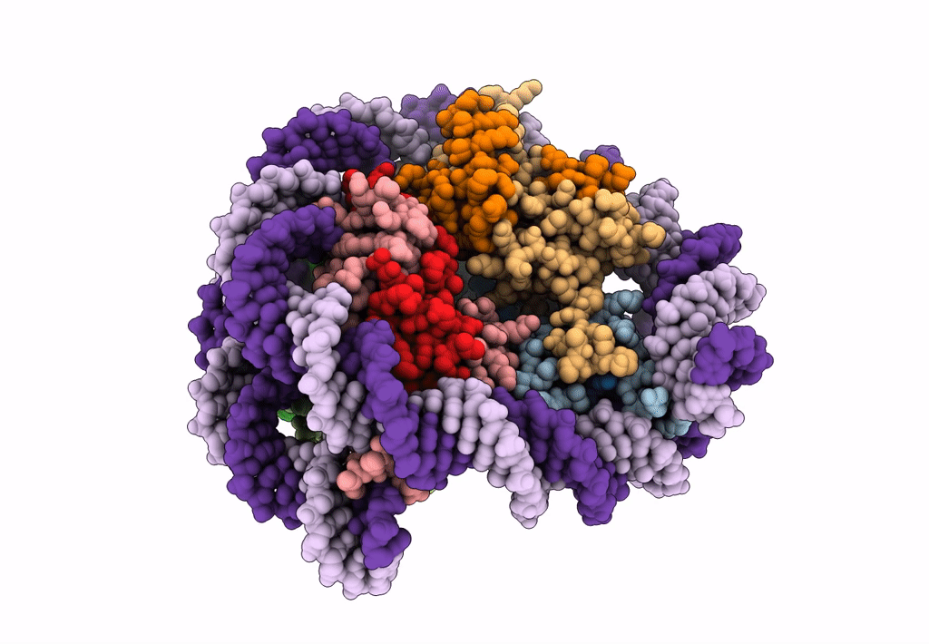 8JLB image