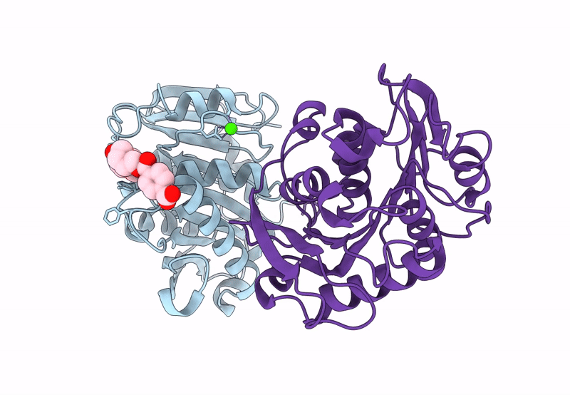 8JMP image