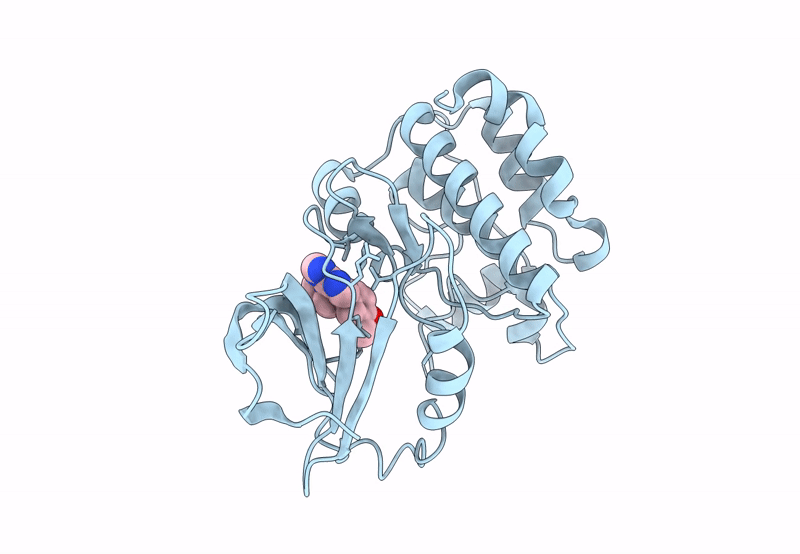 8JMX image
