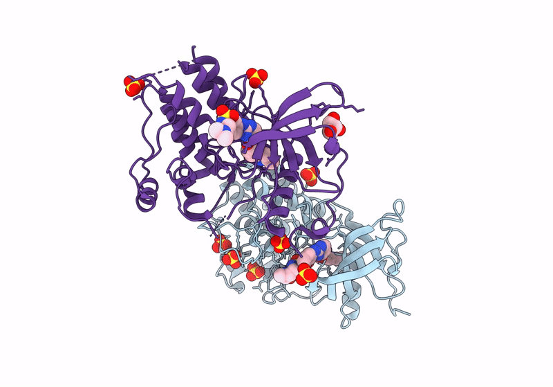 8JMZ image
