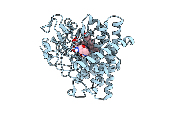 8JNP image