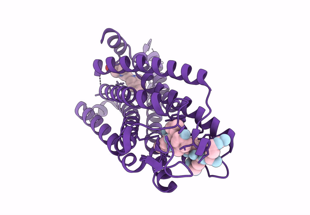 8JPF image