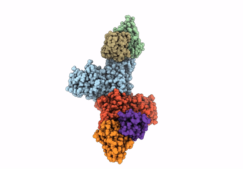 8JQS image
