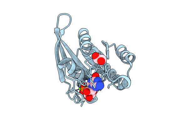 8JQU image