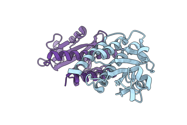 8JRC image