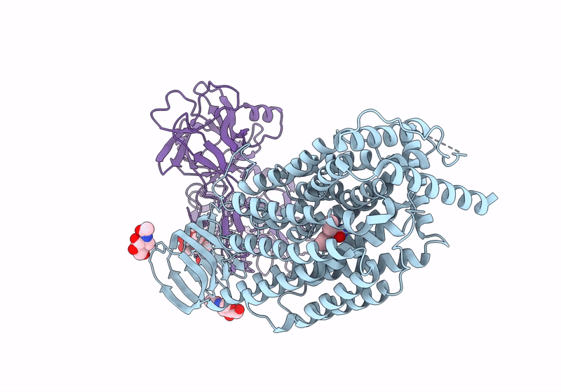 8JS8 image