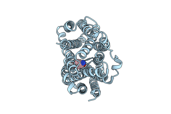 8JSX image