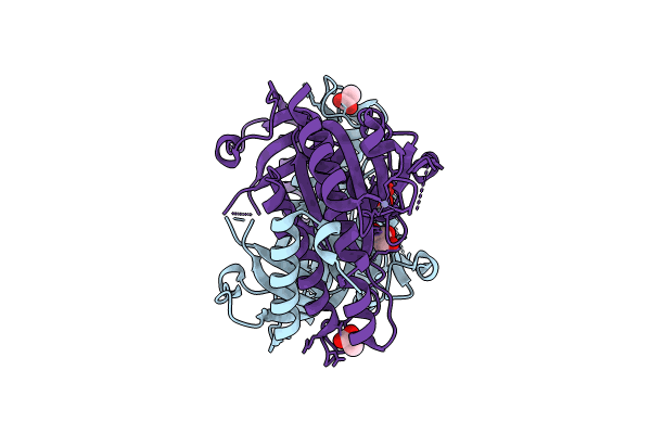 8JSZ image