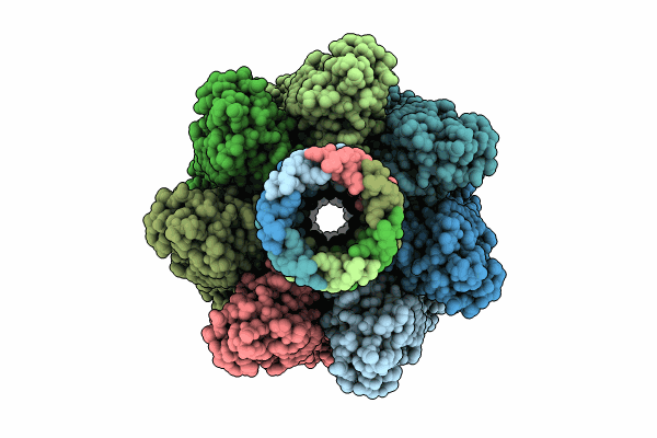 8JX2 image