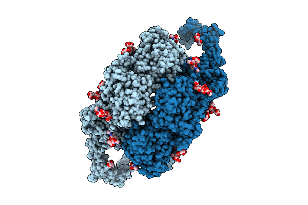 8JX8 image
