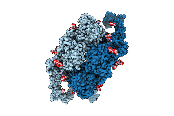8JXE image